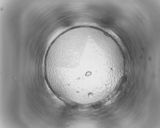 X0000087361199200705111637