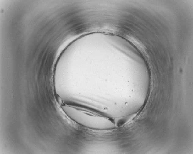 X0000087361200200705111637