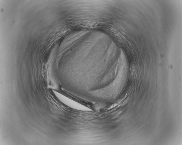 X0000087361202200705111636