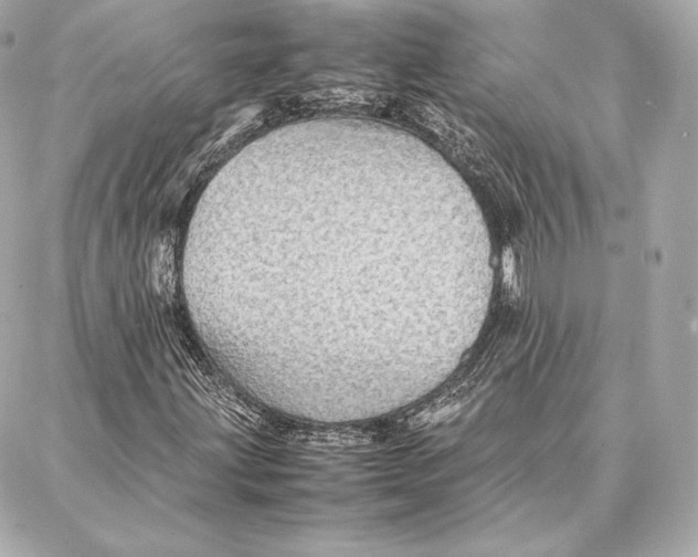 X0000087361203200705111636