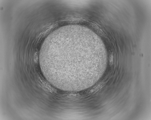 X0000087361204200705111636