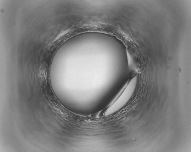 X0000087361206200705111636