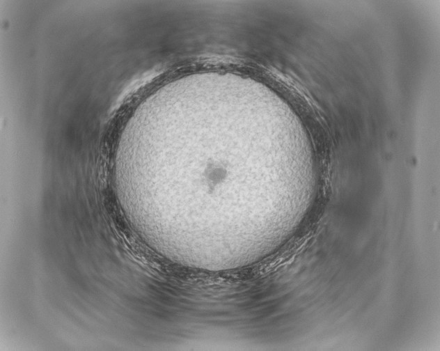 X0000087361207200705111636