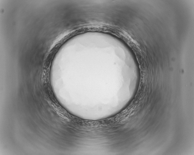 X0000087361208200705111636