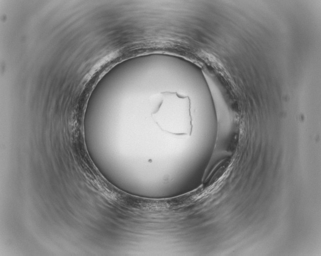 X0000087361210200705111636