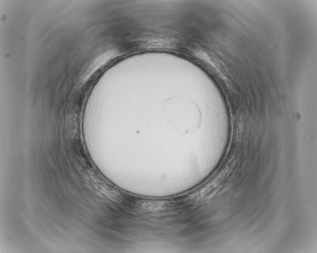 X0000087361211200705111636