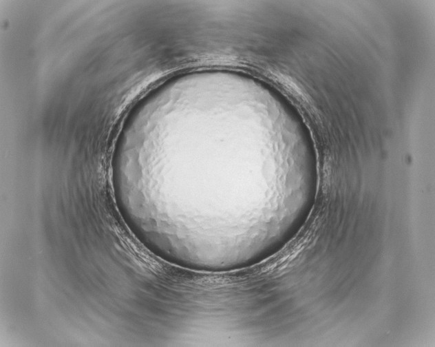 X0000087361212200705111636