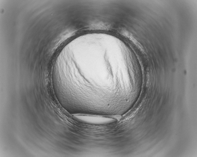 X0000087361213200705111636