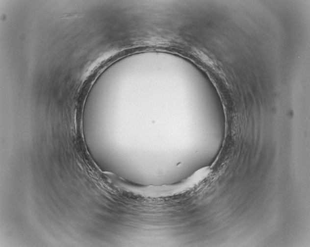 X0000087361214200705111636