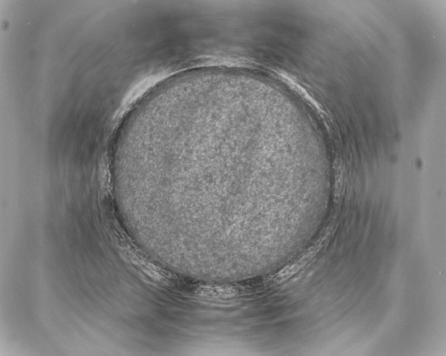 X0000087361215200705111636