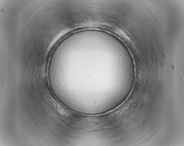 X0000087361216200705111636