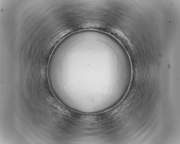 X0000087361217200705111636