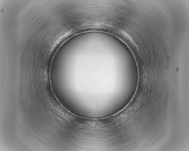 X0000087361218200705111636