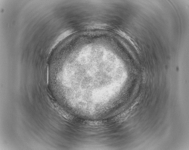 X0000087361219200705111636