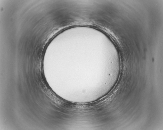 X0000087361220200705111636