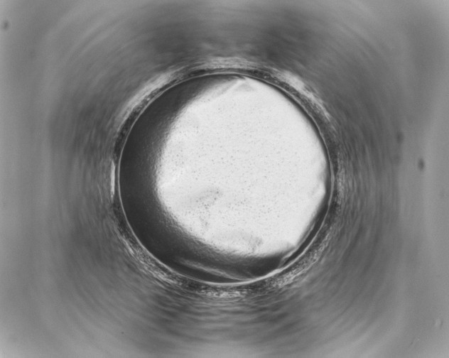 X0000087361221200705111636