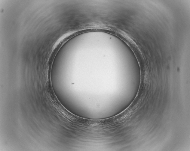 X0000087361222200705111636