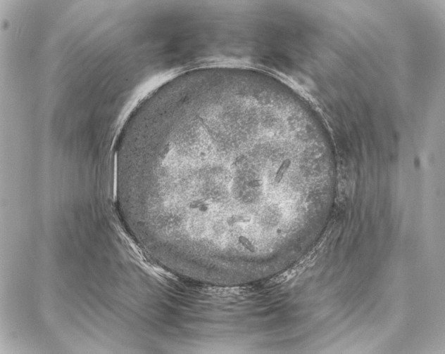 X0000087361223200705111636