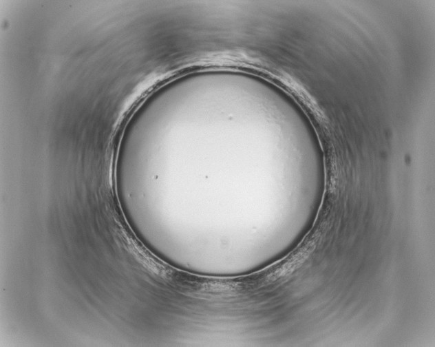 X0000087361224200705111636