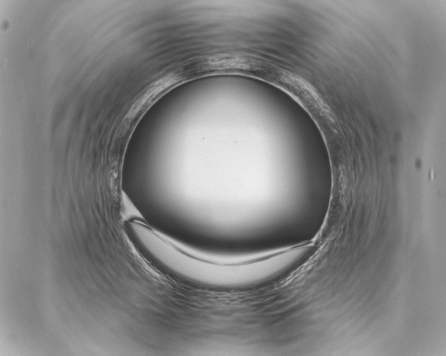 X0000087361225200705111637