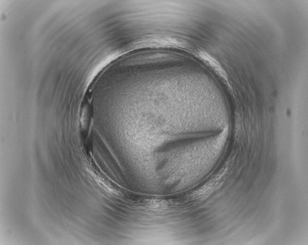 X0000087361226200705111637