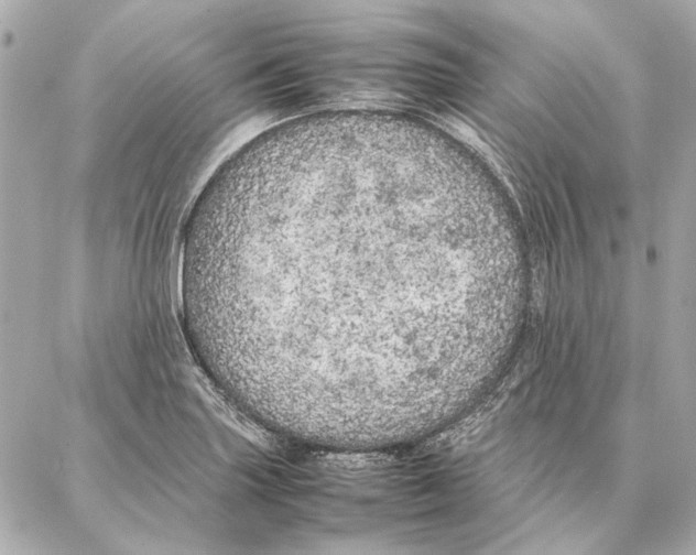 X0000087361227200705111637