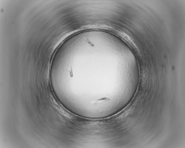 X0000087361228200705111637