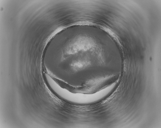 X0000087361229200705111637