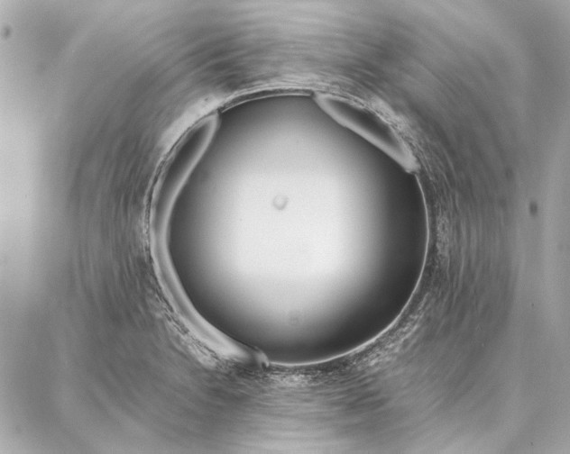 X0000087361230200705111637