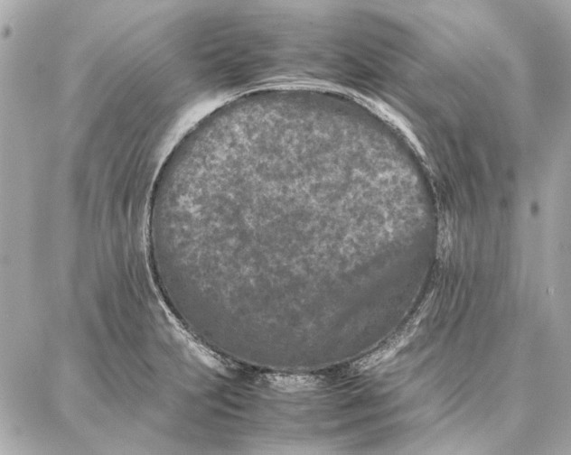 X0000087361231200705111637