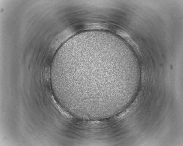 X0000087361233200705111637