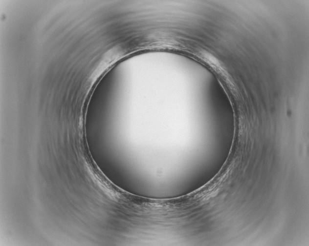 X0000087361234200705111637