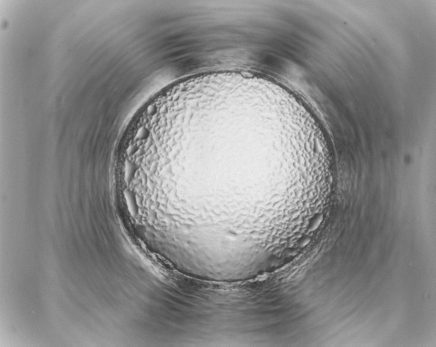 X0000087361235200705111637