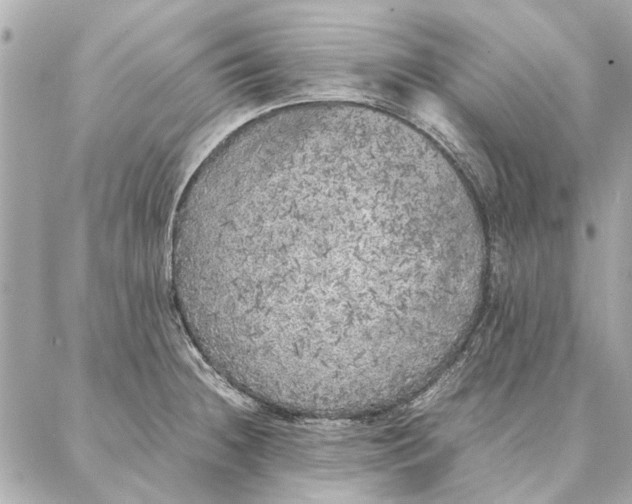 X0000087361236200705111637