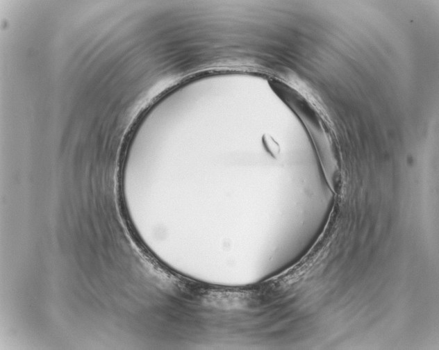 X0000087361237200705111637