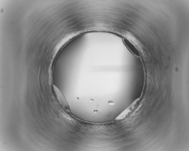 X0000087361238200705111637