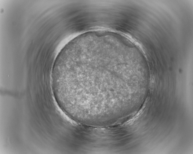 X0000087361239200705111637