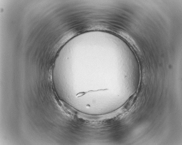 X0000087361241200705111637