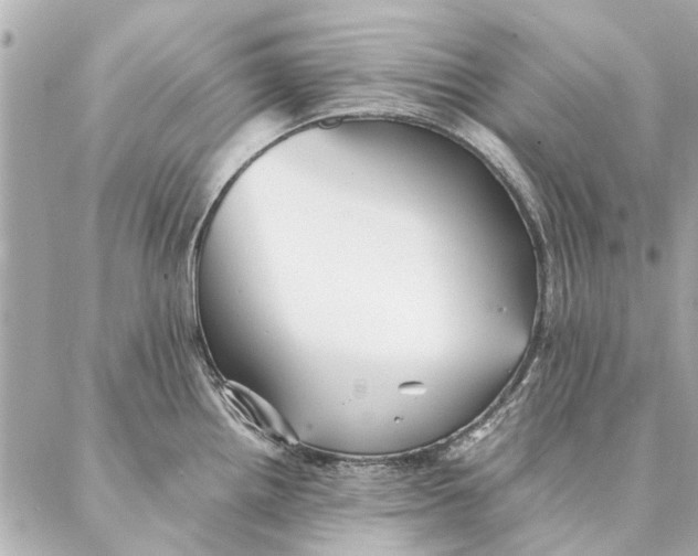 X0000087361242200705111637