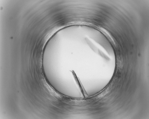 X0000087361244200705111637