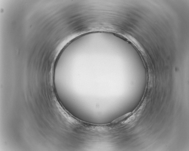 X0000087361246200705111637