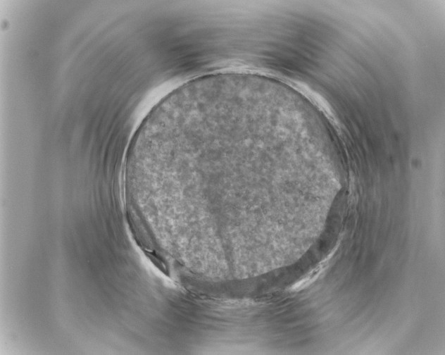 X0000087361247200705111637