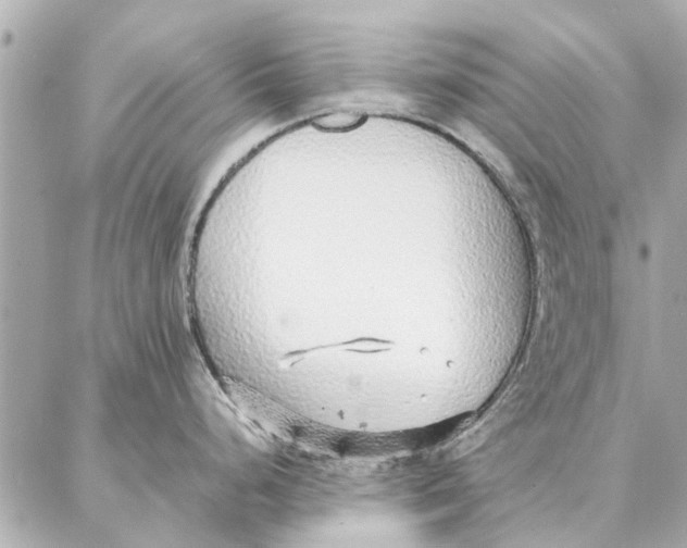 X0000087361248200705111637