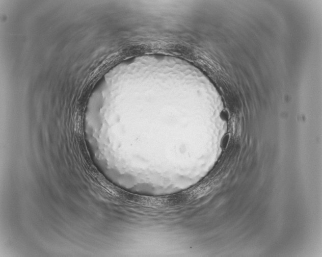 X0000087361251200705111636