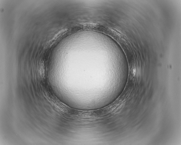 X0000087361252200705111636