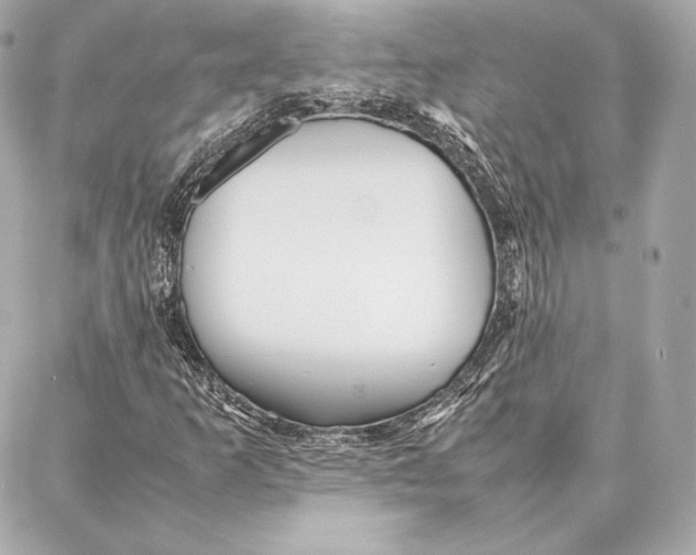 X0000087361253200705111636