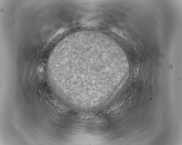 X0000087361254200705111636