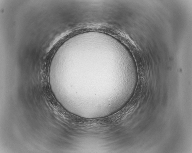 X0000087361256200705111636