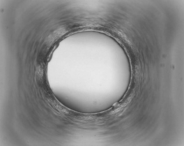 X0000087361257200705111636