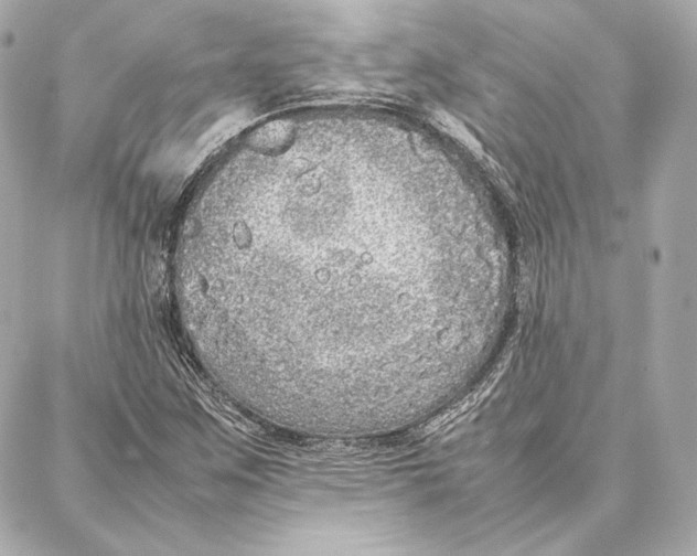 X0000087361259200705111636